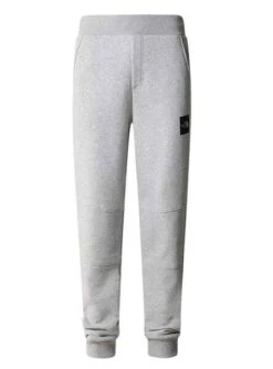 Pantalon The North Face Fin Gris Pour Homme