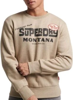 Sweat Superdry Travel Carte Postale Brun Homme