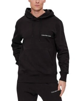 Sweat Calvin Klein Institutional Hoodie Noire