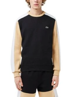 Sweat Ă Capuche Lacoste Color Block Noir Pour Homme